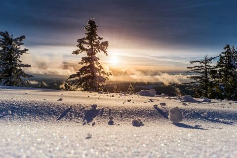 Winter field